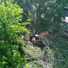 Retention-Pond-Restoration-Site-Improvements-Covenant-House-Georgia 1
